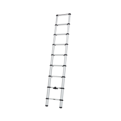 Thule Van Ladder 